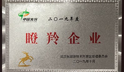 熱烈祝賀天宸物探成功入選2019年度“瞪羚企業(yè)”名單