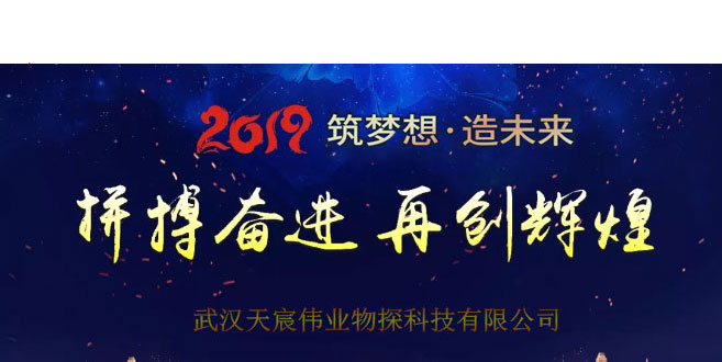 武漢天宸偉業(yè)物探科技有限公司2019新春年會圓滿舉行